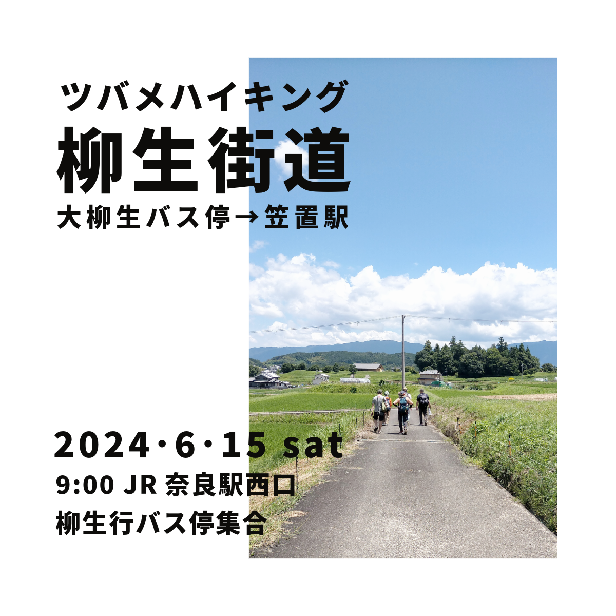 【ツバメハイキング】柳生街道 ― 大柳生バス停→笠置駅