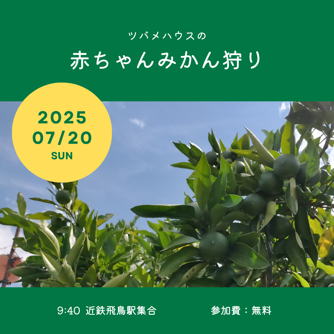 明日香村で赤ちゃんみかん狩り
