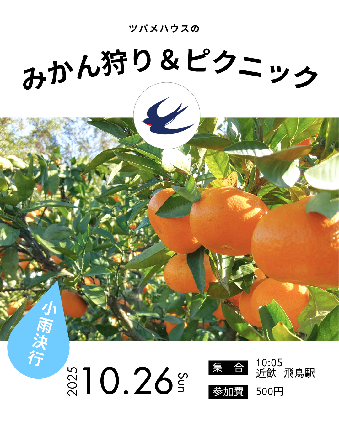 明日香村で赤ちゃんみかん狩り